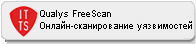 Qualys FreeScan. ������-������������ �����������.